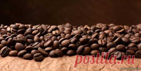 Кофе лечит рак простаты :: социальная сеть родителей https://forumroditeley.ru/viewtopic.php?t=8087