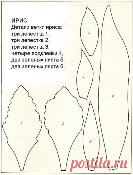 Шаблоны для изготовления цветов