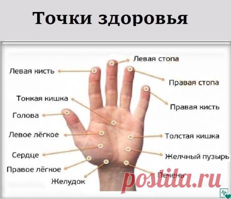 МАССИРУЯ ПАЛЕЦ ПО 1 МИНУТЕ В ДЕНЬ, ПОРАЗИШЬСЯ ТОМУ, ЧТО СЛУЧИТСЯ С ТВОИМ ТЕЛОМ