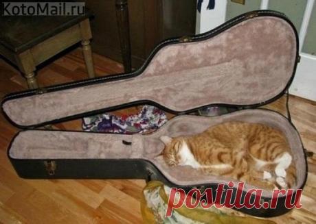 Вот это сервис!