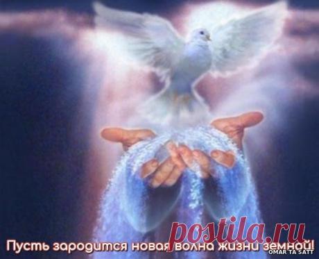 Послание Святого Духа- Пусть зародится новая волна жизни земной – СОТВОРЧЕСТВО В СВЕТЕ, пользователь Татьяна Бабаян | Группы Мой Мир