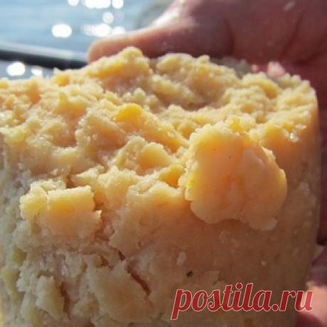 Супер-мастырка для рыбалки за пять минут - МирТесен