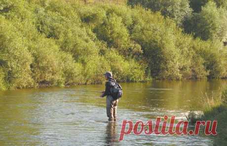 Первые голавли