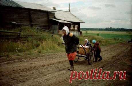 ИКОТКА: СЕВЕРНЫЙ БЕС