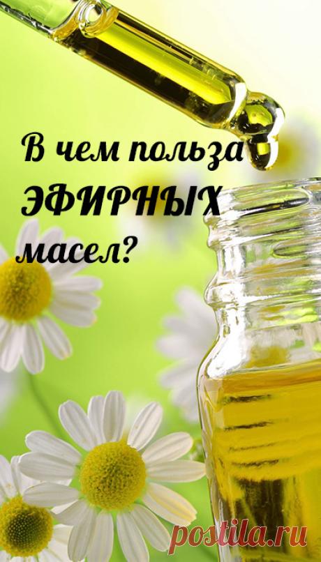 Полезные свойства эфирных масел. Свойства и польза эфирных масел. Правильное и безопасное применение эфирных масел
здоровый образ жизни, здоровый сон, зож, пп, народная медицина, женское здоровье, здоровое питание, медицина, народные рецепты, народные средства