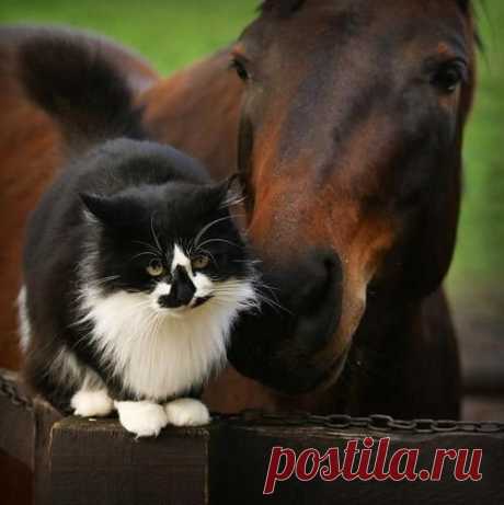 Интересные новости