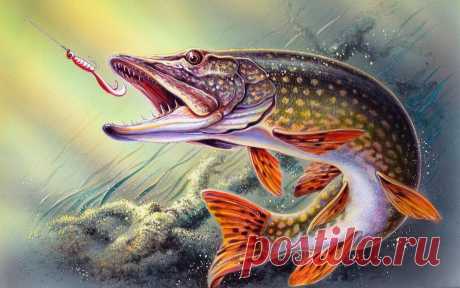 рыбалка фото для декупажа: 10 тыс изображений найдено в Яндекс.Картинках