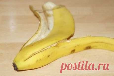 Банановая кожура как удобрение: применение в огороде и для комнатных растений - Onwomen.ru