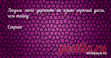 Афоризм про жизнь со смыслом для женщин и девушек (картинка 333) . Милая Я