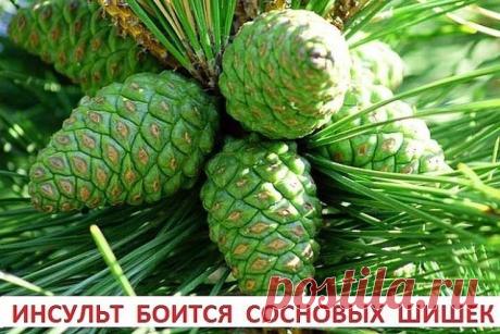 РЕЦЕПТ ВЯЗЕМСКОГО