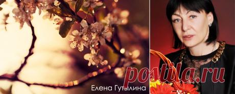 Системно-векторная психология. Елена Гутылина. Если бы не системно-векторная психология, меня бы уже не было. Вестник антиклеветы Системно-векторной психологии Юрия Бурлана