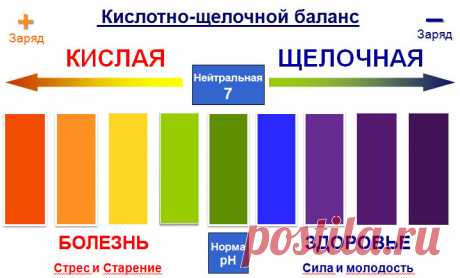 Как правильно поддерживать кислотно-щелочной баланс организма О кислотно-щелочном балансе написано уже много и все к нему стремятся. Но это не мешает многим людям думать, что все кислые продукты имеют кислотную среду. Это не так, и стоит навсегда запомнить , что лимоны, квашеная капуста, клюква и многие другие кислые продукты не закисляют, а наоборот, защелачивают организм. Самым закисляющим эффектом обладает мясо, сахар и кофе. Нужно всегда стремиться к ощелачиванию, испо...