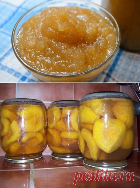 5 простых рецептов заготовок из яблок на зиму | Любимая Дача | Яндекс Дзен