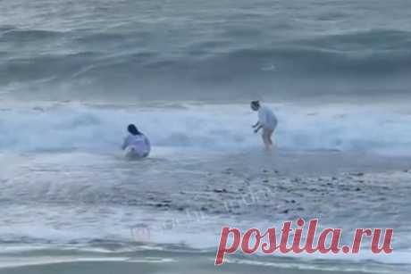 Купание туристок в Черном море в шторм попало на видео и встревожило россиян. Две россиянки искупались во время шторма на закрытом пляже в Сочи — нарушение правил безопасности вызвало возмущение в сети. На опубликованных кадрах видно, как две девушки в белых рубашках пытаются зайти в море несмотря на штормовое предупреждение. Одну из них сильная волна сбила с ног, затем они решили выйти из воды.