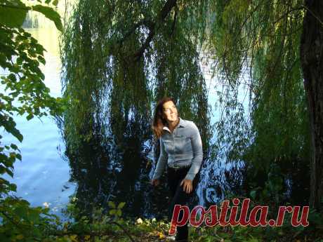 У старой ивы