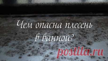 Скучающий ленивец — Чем опасна плесень в ванной?