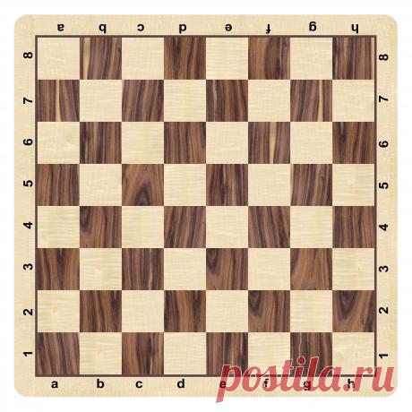 Картинки с шахматной доской (35 фото) ⭐ Забавник