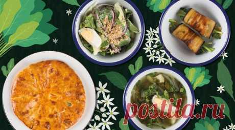 Что приготовить с молодым щавелем. Рецепты от шефа