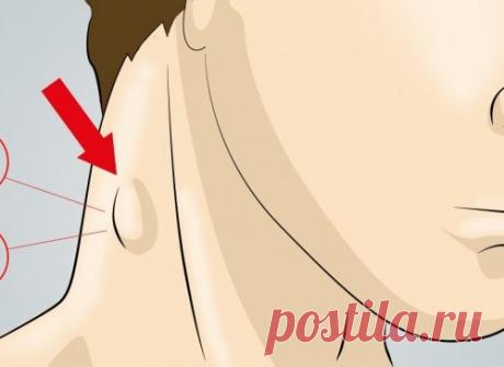 10 простых способов очищения лимфатической системы. Только натуральные средства