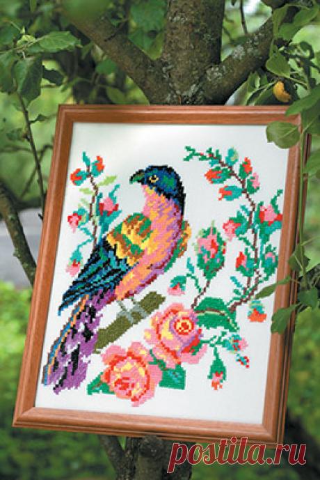 Скачайте схемы Пестрый попугай, вид рукоделия Вышивка крестом - Валентина.ру
