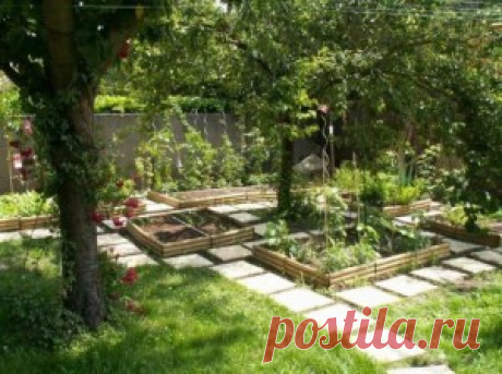 Что посадить в тени на даче | Сад 365