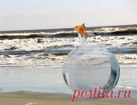 Всегда есть шанс улучшить свою жизнь! И современный мир представляет много возможностей, но от незнания как работать через интернет, как приобщать людей в свой бизнес, как продвигать своё предложение и многие другие незнания отодвигают нас от достижения нашей мечты.