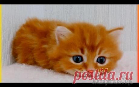 Улыбнитесь