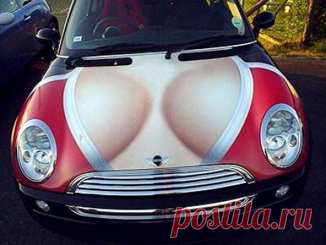 Weird, Wacky and Wild Cars