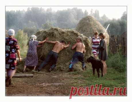 «деревенская жизнь»