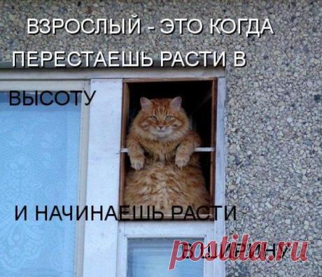 Взрослый
