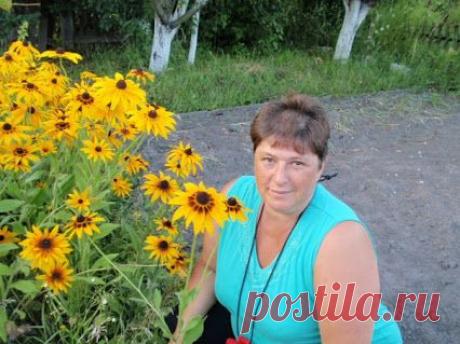 Google+ https://glopages.ru/affiliate/6192144