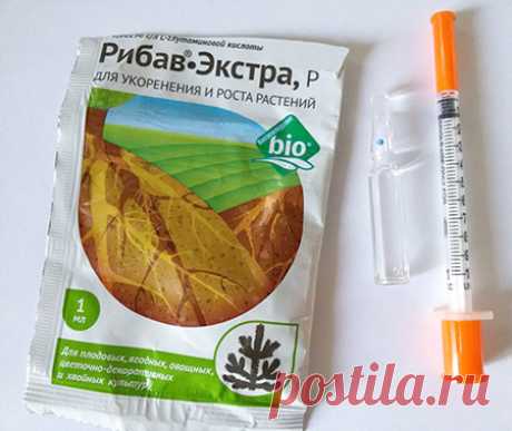 Суперстимуляторы для дружного прорастания семян - Садоводка