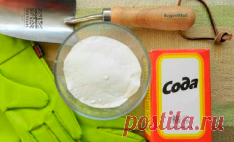 У соседки по даче всегда прекрасный урожай огурцов, капусты и винограда: она призналась, что использует пищевую соду...