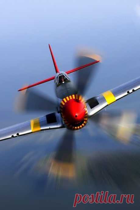 #p-51 АВИАЦИЯ