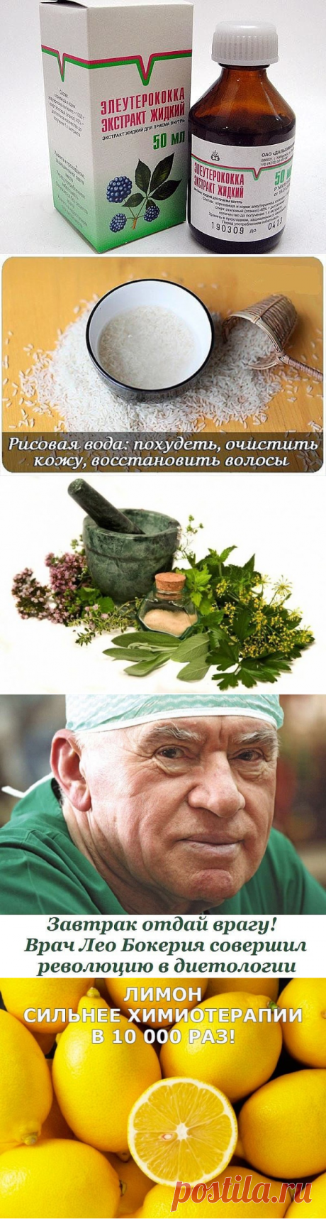 (1) Одноклассники