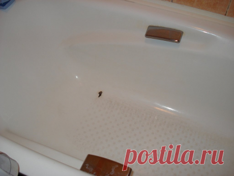 Как восстановить акриловую ванну своими силами | Рекомендательная система Пульс Mail.ru