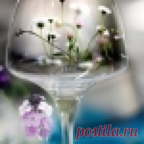 Водный настой сухих корок граната излечит все!.