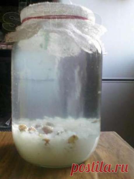 Рисовый квас от остеохондроза