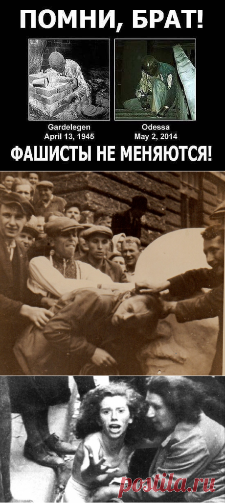 Жидобандеровская оккупация Украины (18+)