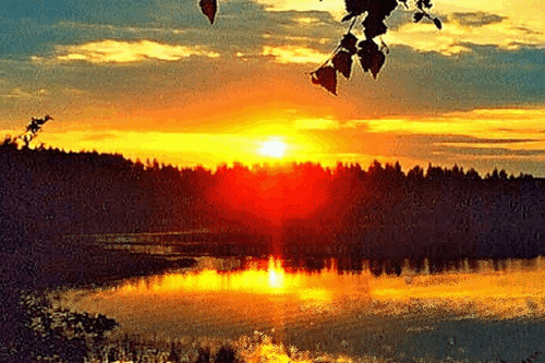 Природа h-22242.jpg (500×333)