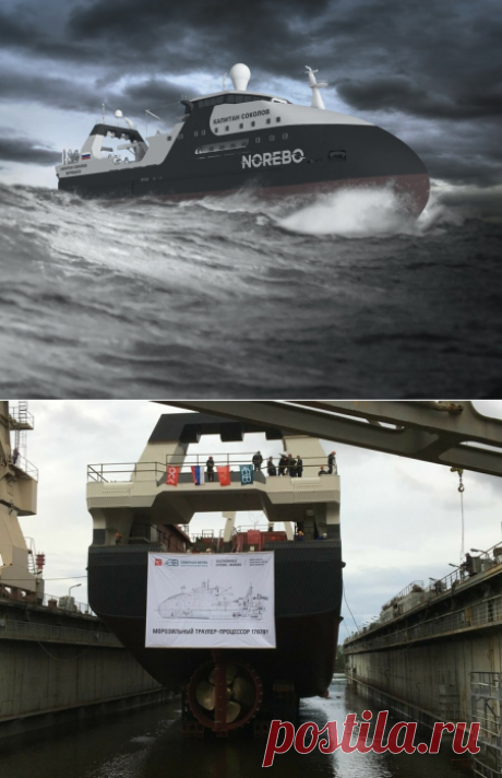 2020 август. СЗ "Северная верфь" спустил на воду головной морозильный рыбопромысловый траулер-процессор «Капитан Соколов» проекта 170701. Многофункциональная современная рыбоперерабатывающая фабрика, устанавливаемая на траулеры, позволит производить замороженное в море филе, консервы из печени трески, рыбную муку и другие субпродукты. Серию из десяти судов проекта 170701 общей стоимостью 38,4 млрд руб. строят для Группы НОРЕБО