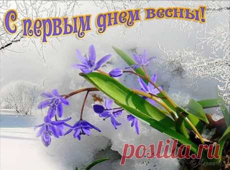 Поделись весенним настроением с друзьями, жми КЛАСС.