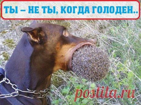 Интересные новости