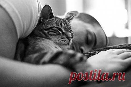 (31) Одноклассники