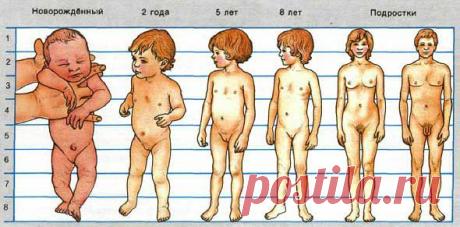 Выкройка текстильной шарнирной куклы с пропорциями ребёнка 5-8 лет.