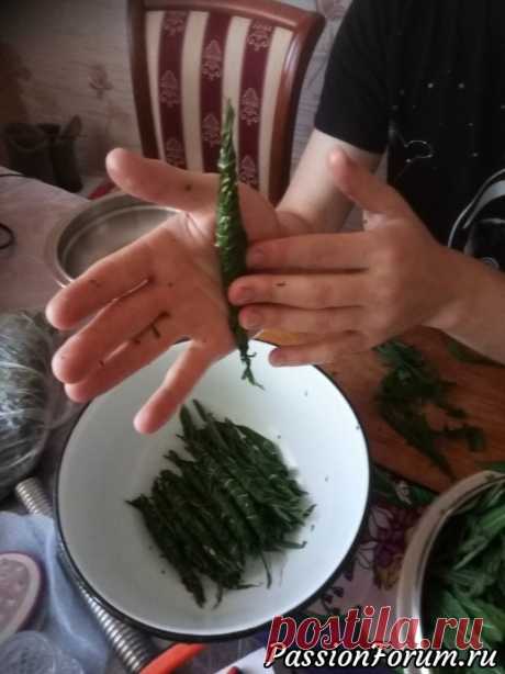 Чурчхела, чурчхела!!! Покупайте чурчхелу! 2 лари - штука! - запись пользователя LudmilaVer (Людмила) в сообществе Наши встречи в категории 3-й Международный слет. Минск, Тбилиси