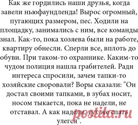 Story