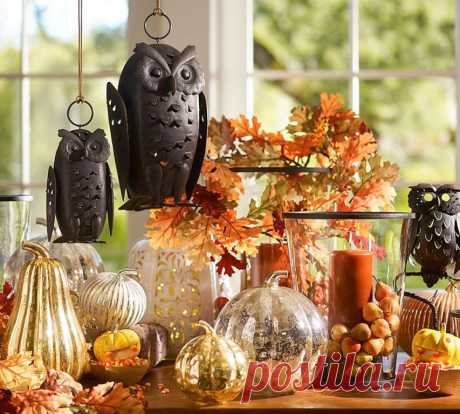 САМ СЕБЕ ДИЗАЙНЕР
Фаина Ⓛ Мазур☂