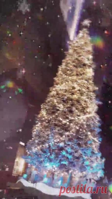 Merry Christmas!!! 🎄 #Christmas #winter #holidays #merrychristmas #happyholidays #christmastree #christmasdecorations #snowapp — Wibes Merry Christmas!!! 🎄 #Christmas #winter #holidays #merrychristmas #happyholidays #christmastree #christmasdecorations #snowapp