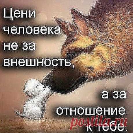 От миомы и кисты настойка из кедровых орешков
Настойка из кедровых сибирских орешков лечит миому матки и кисту яичников.
Приготовление настойки:
Один стакан кедровых орешков вместе с кожурой и ядрами залить 0,5 литра водки (или разведённого спирта), настоять 2 недели в тёмном месте, периодически встряхивая.
Приём настойки:
По одной столовой ложке настойки три раза в день, за 30 минут до еды. Можно развести в 40 мл. воды.
Лечение длительное, 3-6 месяцев. В идеале надо выпить 6 бутылок, но